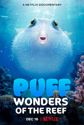 ดูหนัง Puff Wonders of the Reef (2021) พัฟฟ์ มหัศจรรย์แห่งปะการัง เต็มเรื่อง | ดูหนังออนไลน์2022