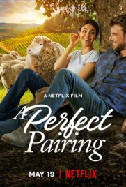 ดูหนัง A Perfect Pairing (2022) คู่นี้ คือเพอร์เฟค พากย์ไทย เต็มเรื่อง ดูหนังออนไลน์2022