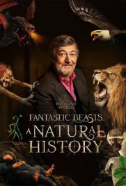 ดูหนัง Fantastic Beasts A Natural History (2022) เต็มเรื่อง ดูหนังออนไลน์2022