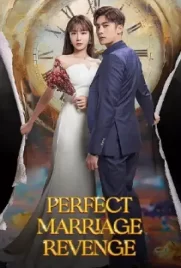 ดูซีรี่ย์เกาหลีฟรี Perfect Marriage Revenge (2023)